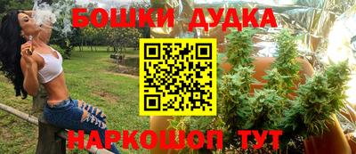 гашик Заводоуковск