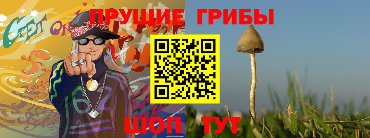 Псилоцибиновые грибы ЛСД Лысьва